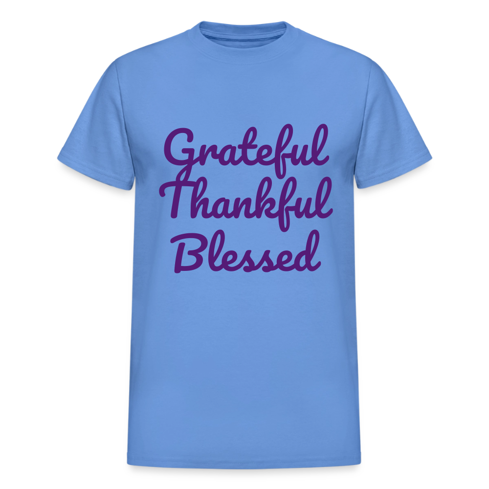 Gildan Ultra Cotton Adult T-Shirt - carolina blue