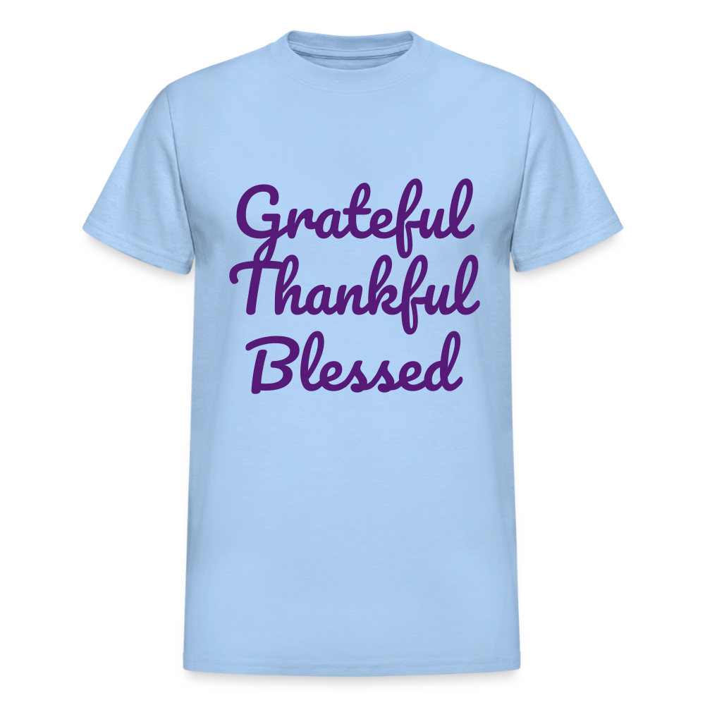 Gildan Ultra Cotton Adult T-Shirt - light blue